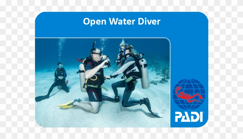 Open Water Diving Certification Scuba Diving Certification HD Png