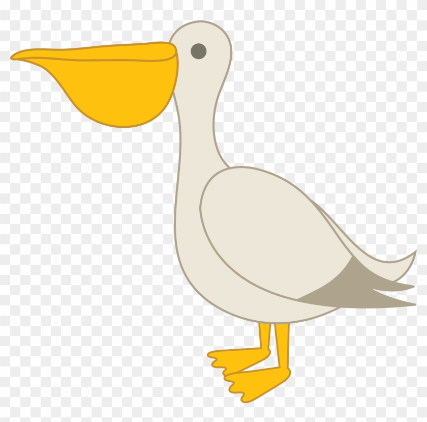 Pelican Free Png Image, Transparent Png - 7352x6913(#2135033) - PngFind