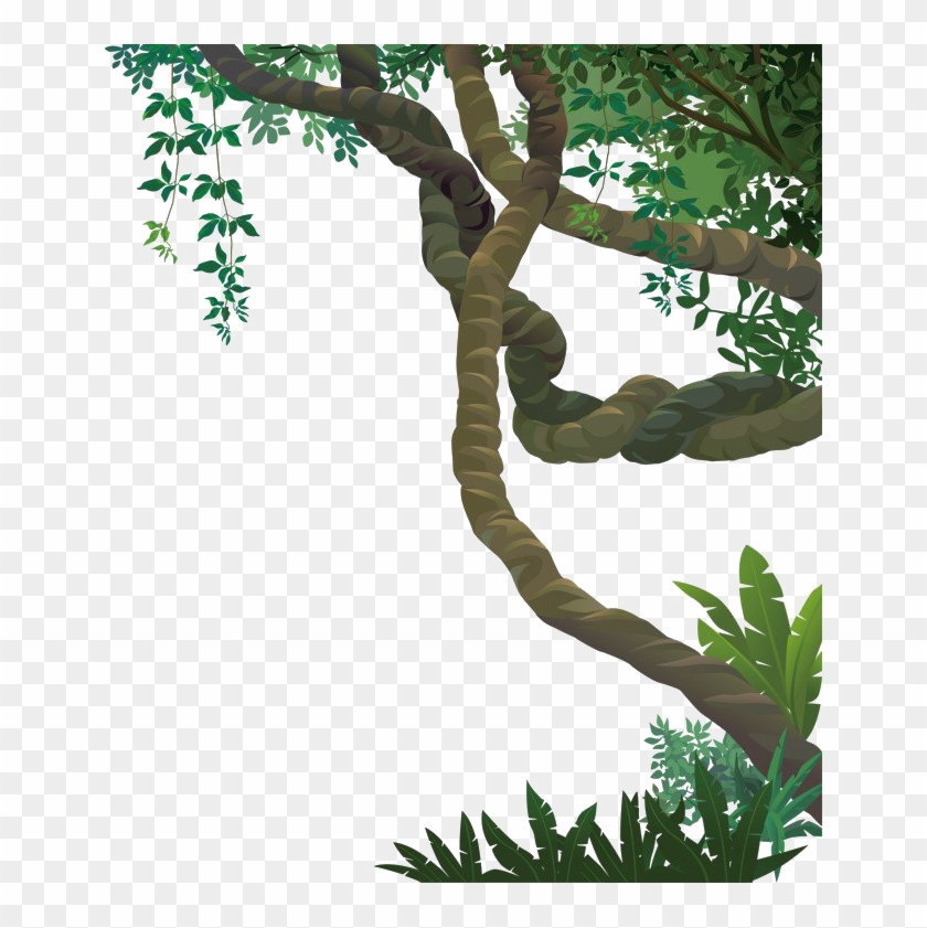 Jungle Vines Png File - Forest Vines Png, Transparent Png -  650x761(#2140310) - PngFind