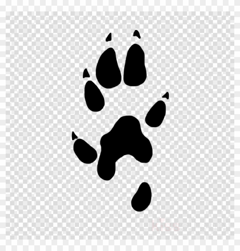 do dogs have individual paw prints