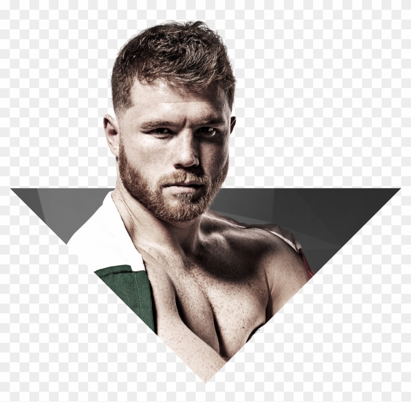 Canelo Png, Transparent Png - 2959x2918(#2175918) - PngFind