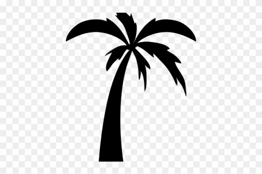 Drawn Palm Tree Cartoon - Palm Trees Drawing In Black, HD Png Download