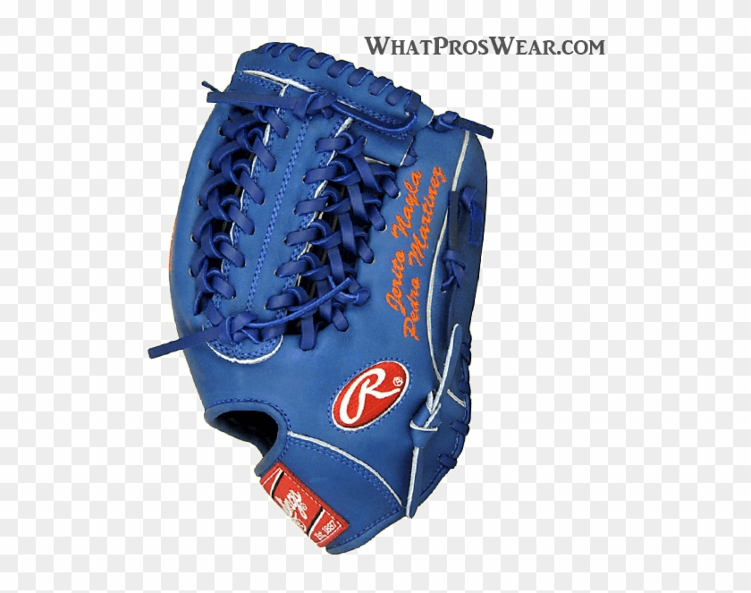 pedro martinez glove