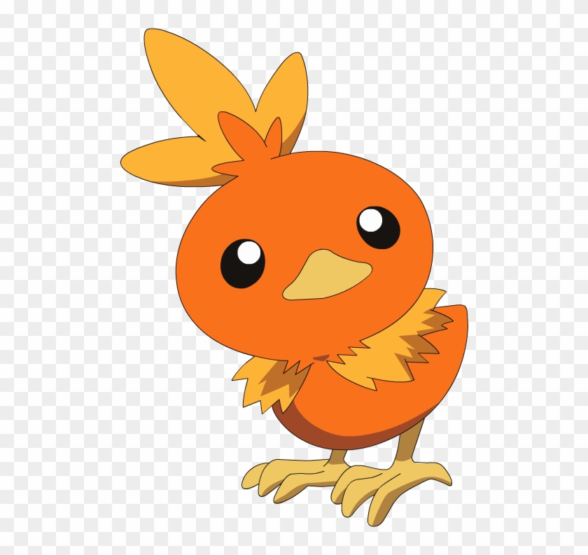 Torchic - Pokemon Torchic, HD Png Download - 498x713(#2211403) - PngFind