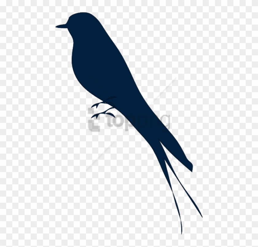 Download Free Png Download How To Set Use Bird Silhouette Svg Mocking Bird Clip Art Transparent Png 480x724 2226164 Pngfind