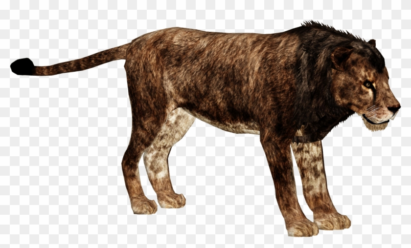 lion cave clipart