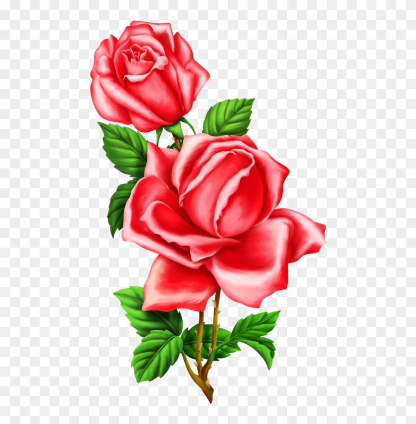 coloring page of red rose flower line art design with decorative pencil sketch  drawing Stock Vector Image  Art  Alamy