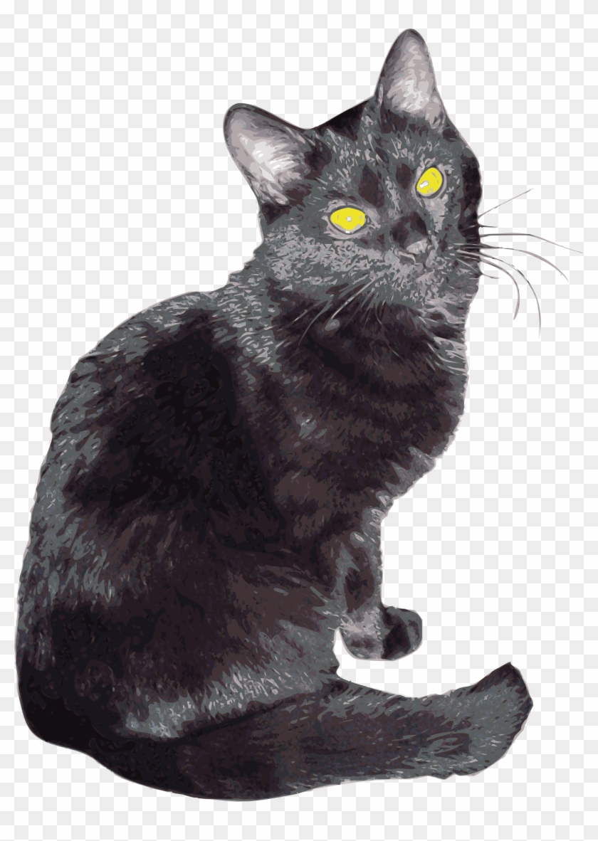 17-best-pictures-black-cat-logo-software-free-download-black-cat