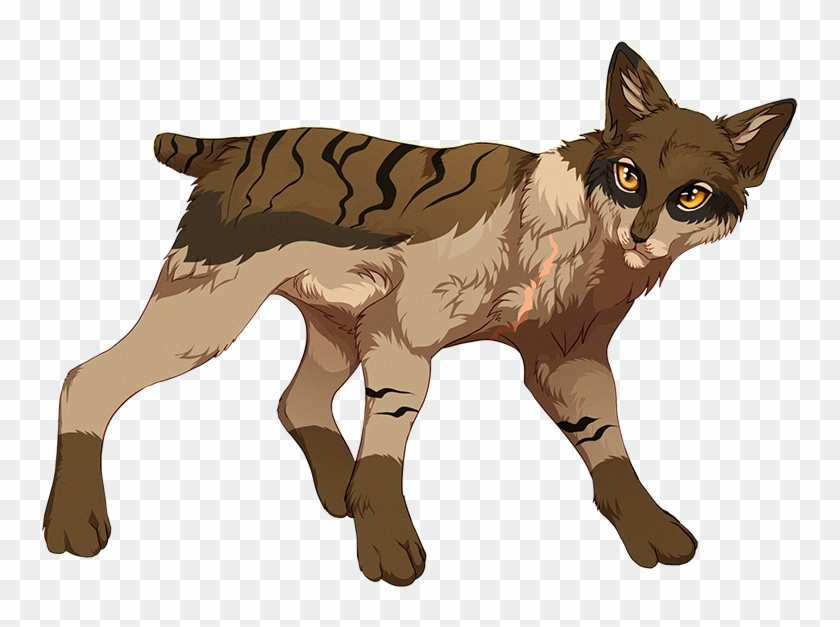 Warrior Cats With Short Tails Png Download Warrior Cats Halftail Transparent Png 757x547 2278961 Pngfind