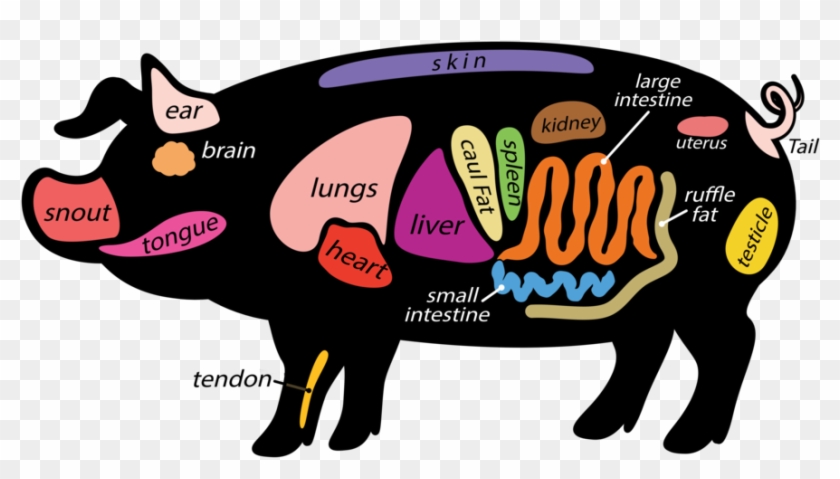 Pork Clipart Pig Tail - Pork Ruffle Fat, HD Png Download - 884x462