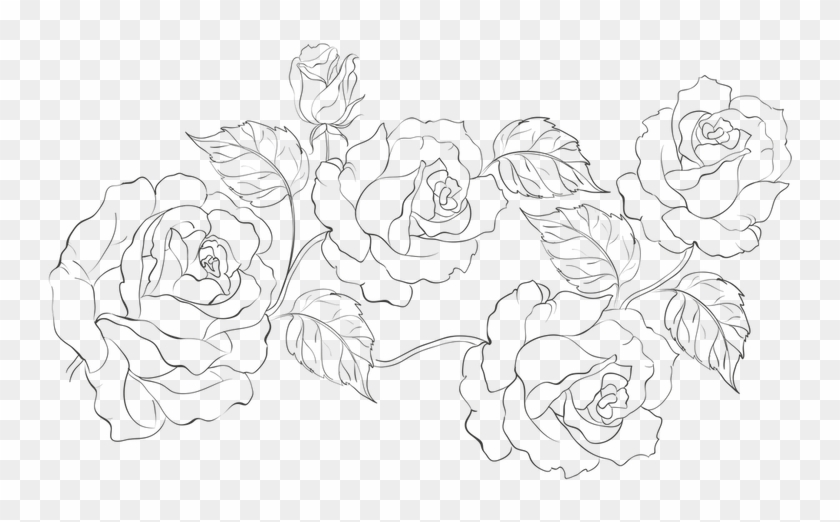 Floral-pattern - - Line Art, HD Png Download - 767x767(#2297696) - PngFind