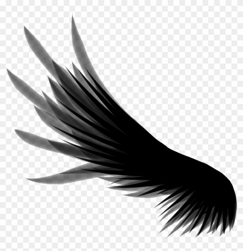 Angel Wings Background - Transparent Wings Png, Png Download -  1000x1000(#230487) - PngFind