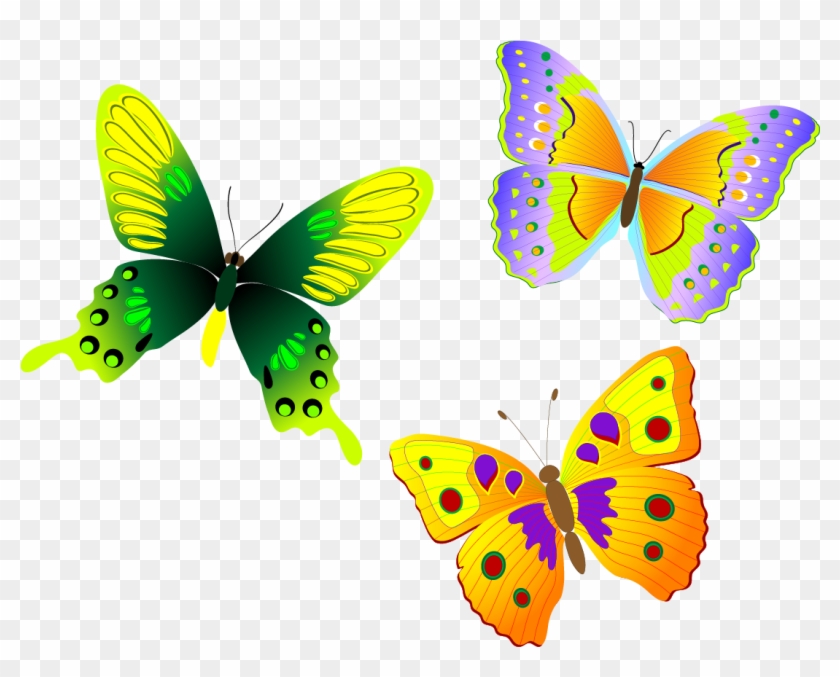 Free Free 310 Butterfly Trail Svg SVG PNG EPS DXF File