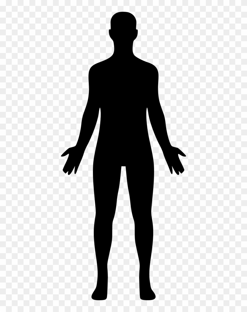 Download Png File Svg - Human Body Silhouette Png, Transparent Png - 428x980(#2350603) - PngFind