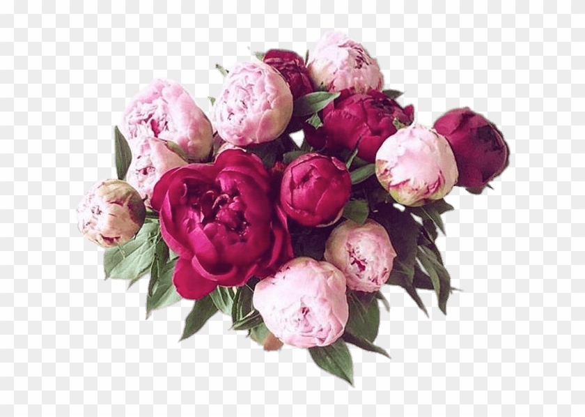 Bouquet Of Peonies - Types Of Peony, HD Png Download - 640x640(#243065) -  PngFind