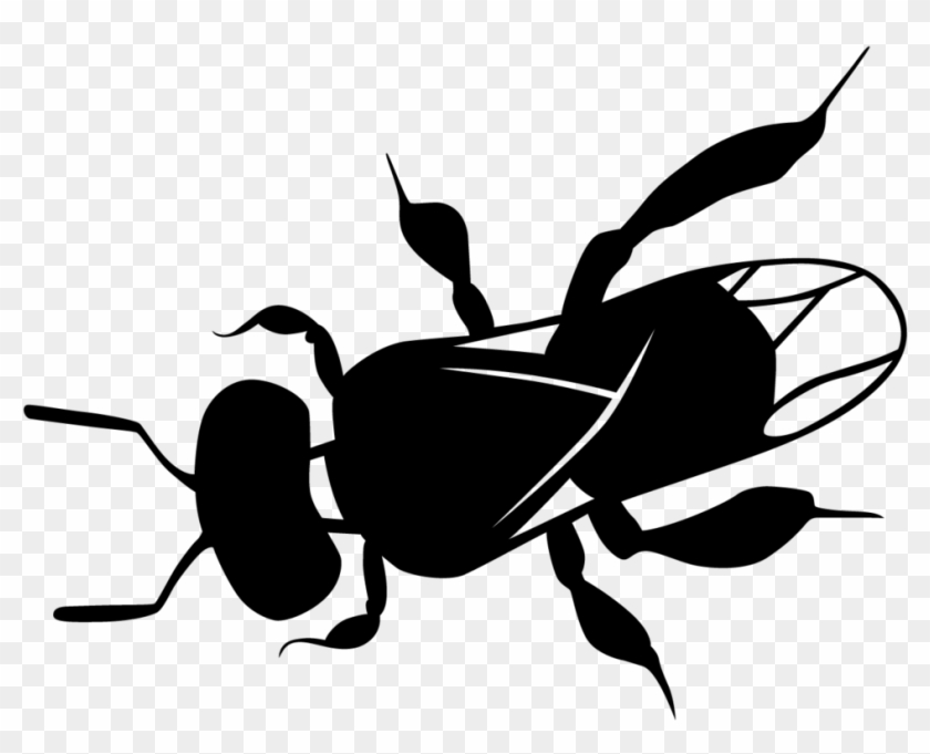 Clipart Bee Path - Australian Native Bee Drawing, HD Png Download ...