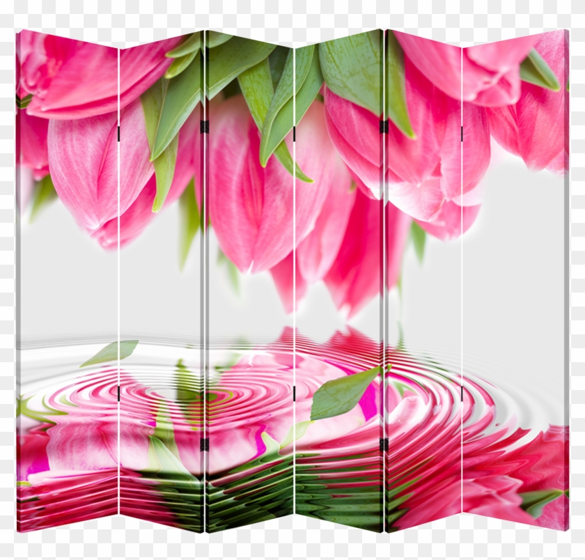 6 Panel Folding Screen Canvas Divider- Pink Tulips - Anthurium, HD Png ...