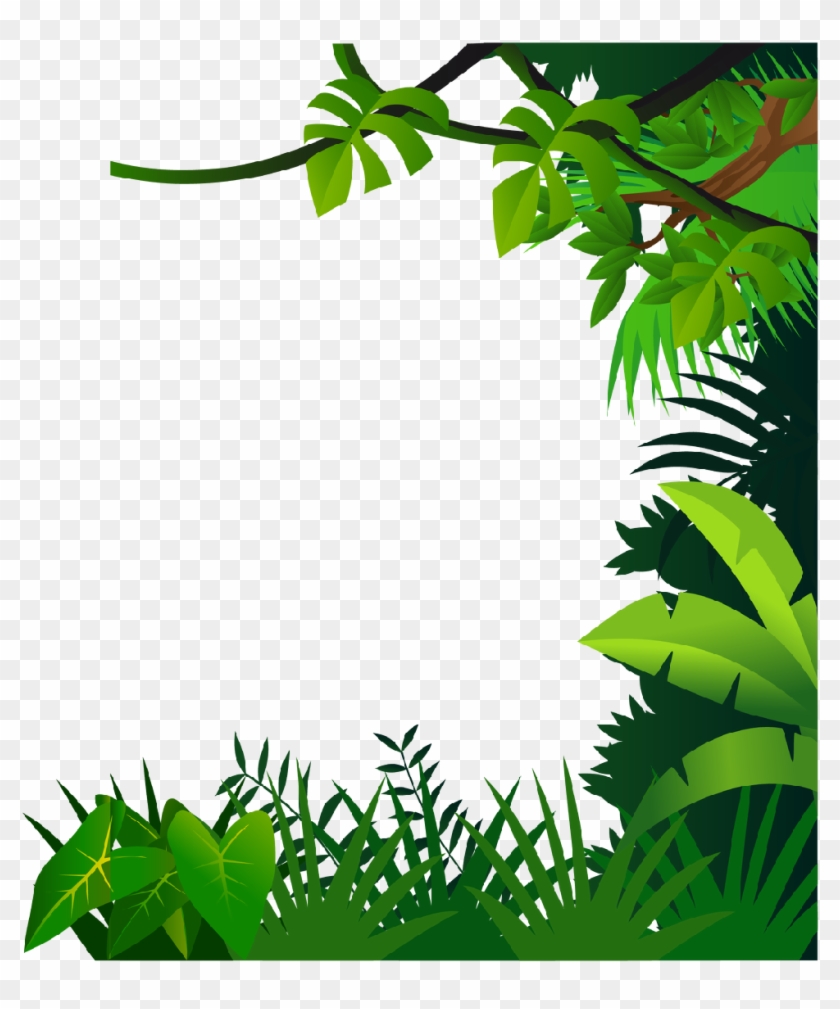 Download Material Border Drawing Jungle Free Hd Image Clipart ...