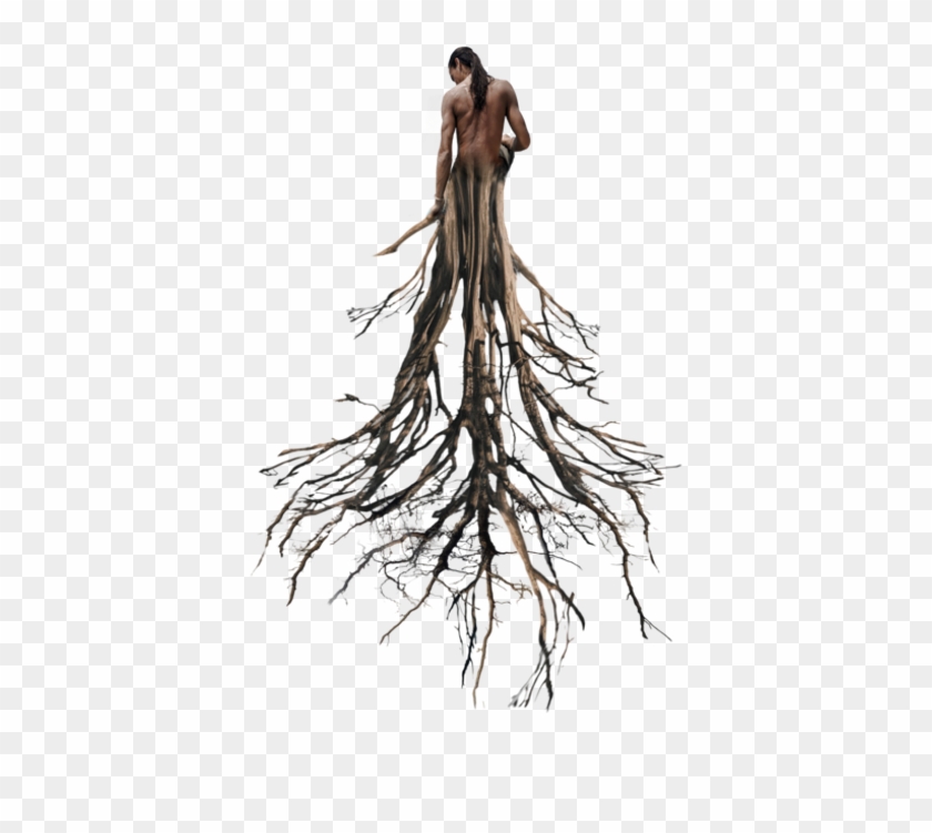 tree sticker roots png transparent png 1024x808 257339 pngfind tree sticker roots png transparent
