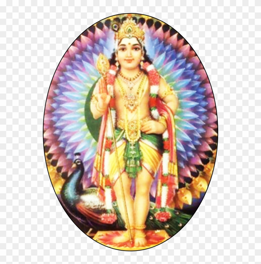 happy thaipoosam cavadee wishes png download lord murugan transparent png 567x767 2505393 pngfind happy thaipoosam cavadee wishes png