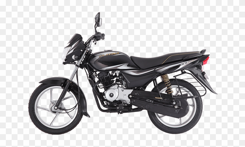 Top 5 100cc Bikes In India Bajaj Platina Comfortec Colours HD