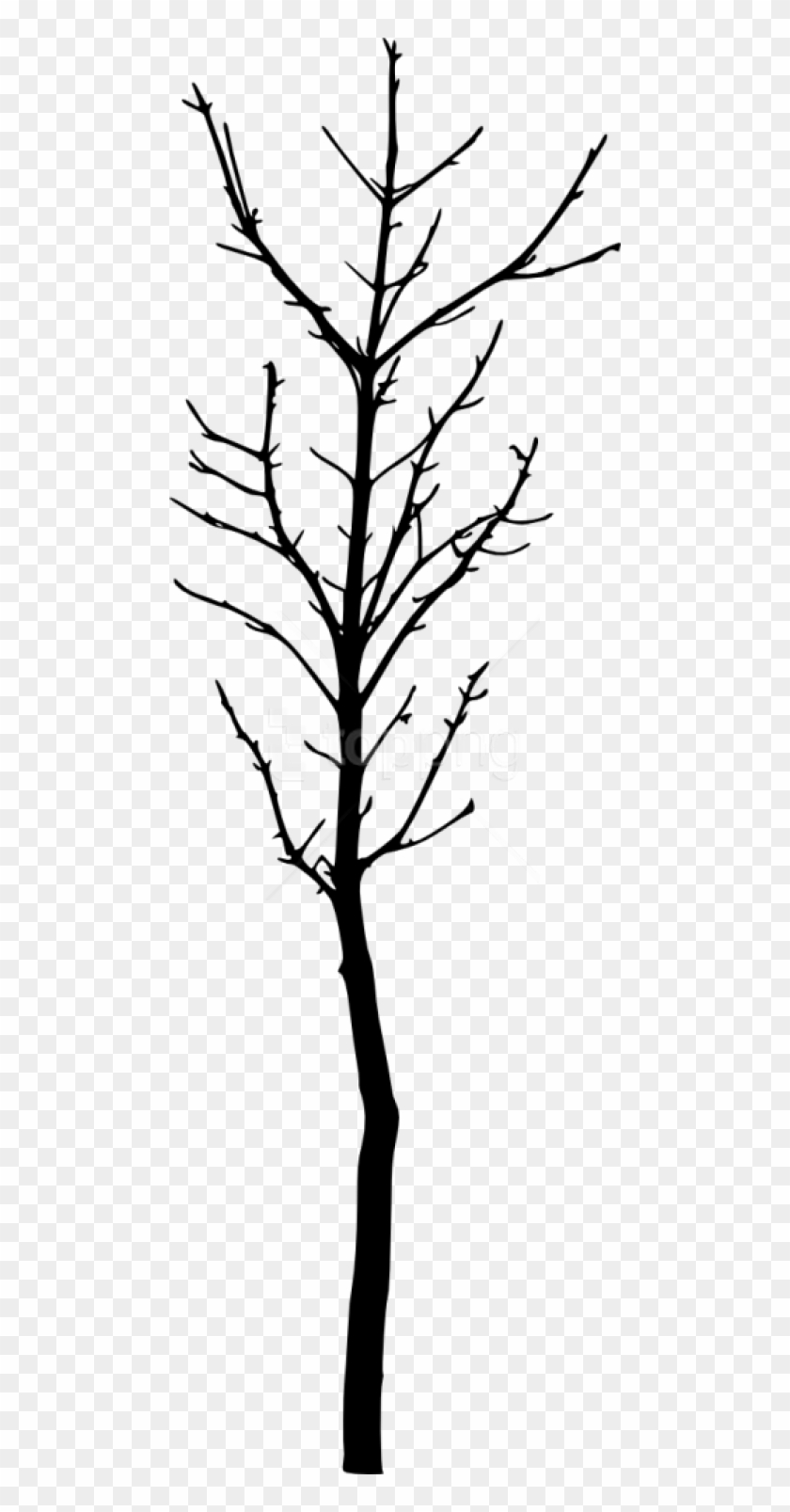 simple leafless tree outline
