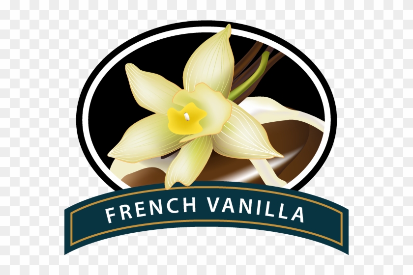 French Vanilla Coffee Logo Hd Png Download 600x6002572880 Pngfind