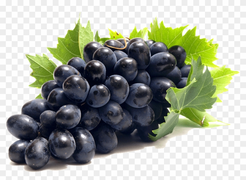 grape red grapes fruit hd png download 1000x667 265041 pngfind grape red grapes fruit hd png