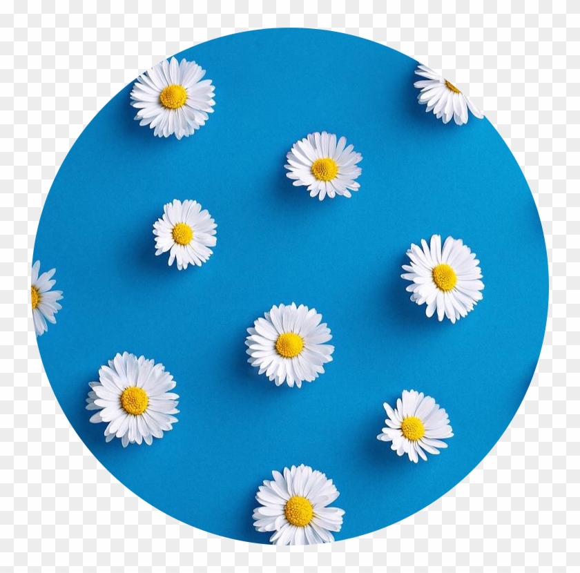 Aesthetic Circle Icon Flower Blue Blueaesthetic Aesthetic Icons Blue Hd Png Download 750x750 2612028 Pngfind - icon roblox logo blue aesthetic