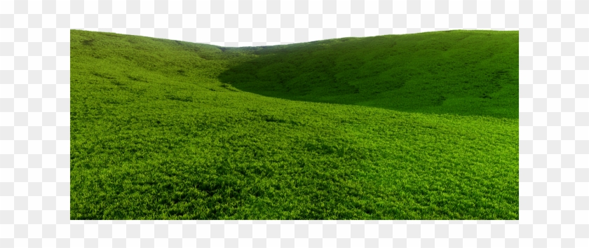 grassy hill clipart