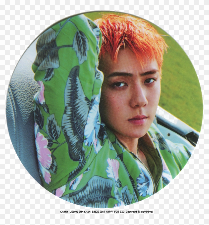 170907 Power Merchandise Credit Exo Sehun Head Transparent Hd - exo baekhyun roblox