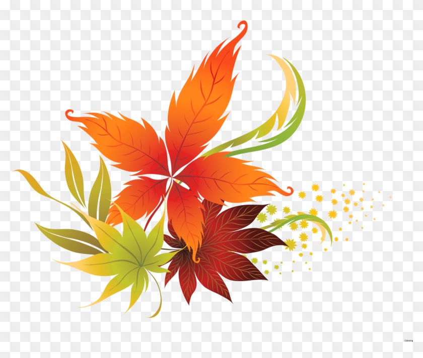 Leaves Clipart 7 Leaves Transparent Background Fall Leaves Clipart Hd Png Download 3057x2446 Pngfind