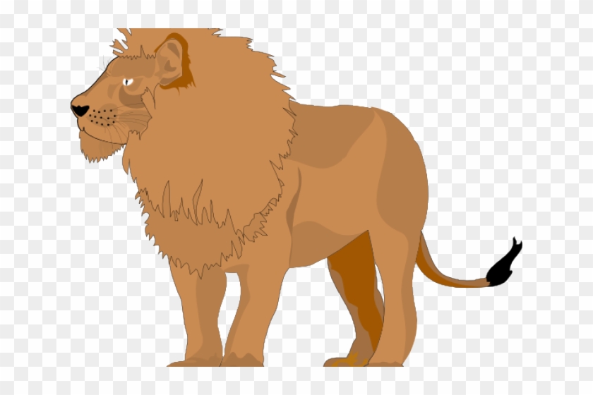 Mountain Lion Clipart Zoo Animal Lion Hd Png Download - 