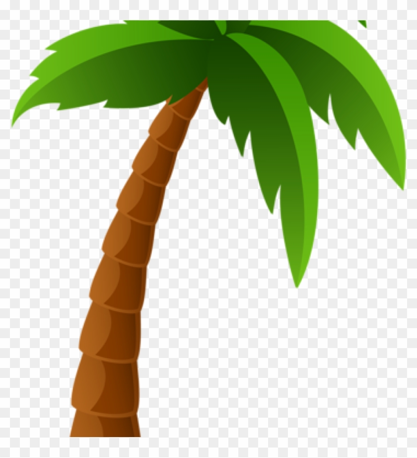 Palm Clipart Balloon Clipart Hatenylo - Palm Trees Clipart Png ...