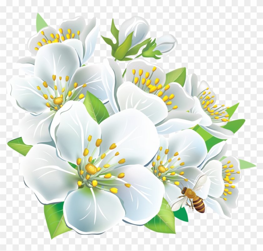 Free Png Download Large White Flowers Clipart Png Photo White Flowers