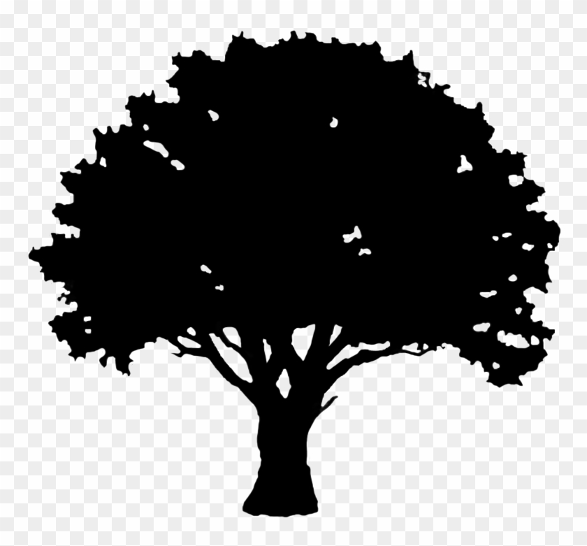 Silhouette Graphics Svg Library Stock Tree Silhouette Clipart Hd Png Download 827x709 287675 Pngfind