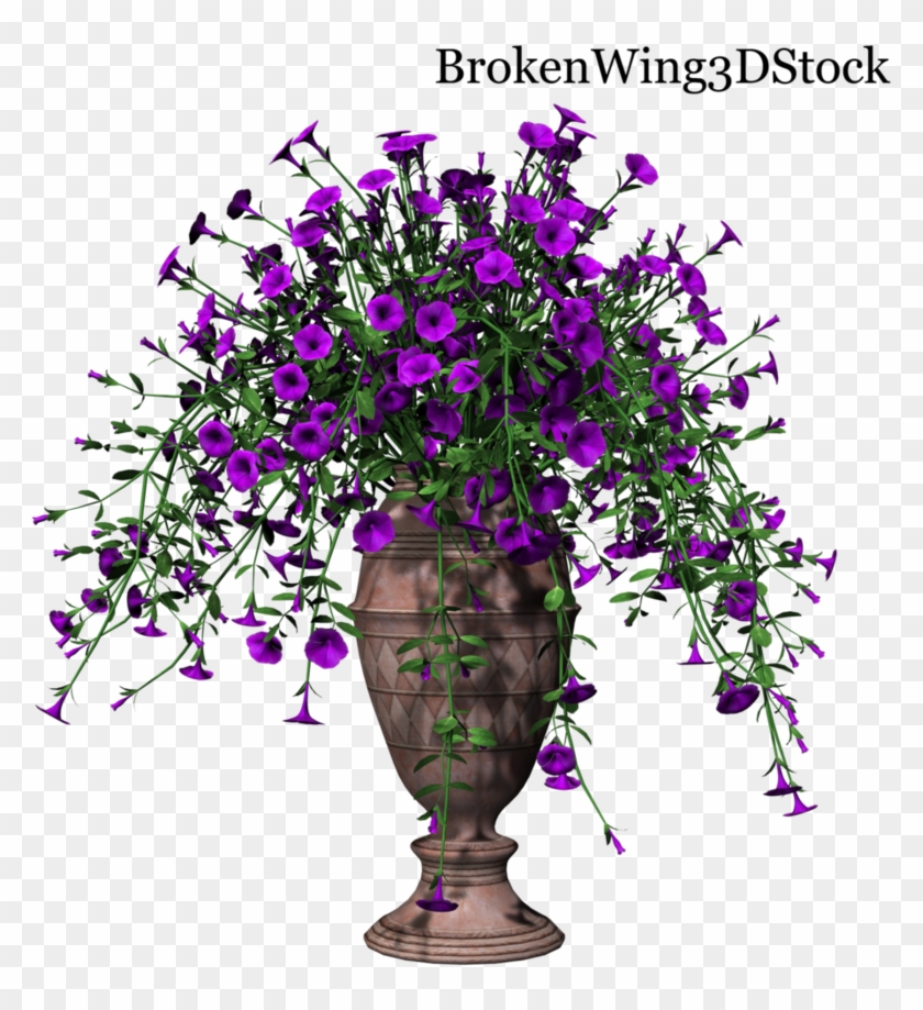 Petunia Transparent Png Flowerpot Png Download 785x839 2813115 Pngfind