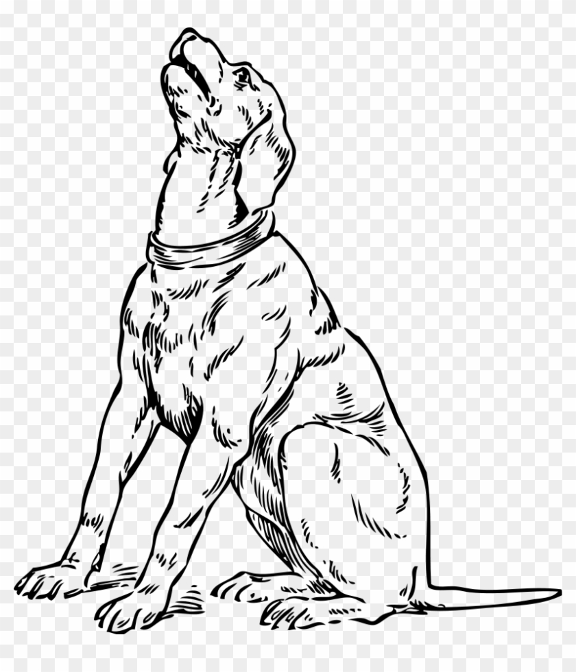 How To Set Use Barking Dog Svg Vector Dog Looking Up Drawing Hd Png Download 813x900 2838224 Pngfind
