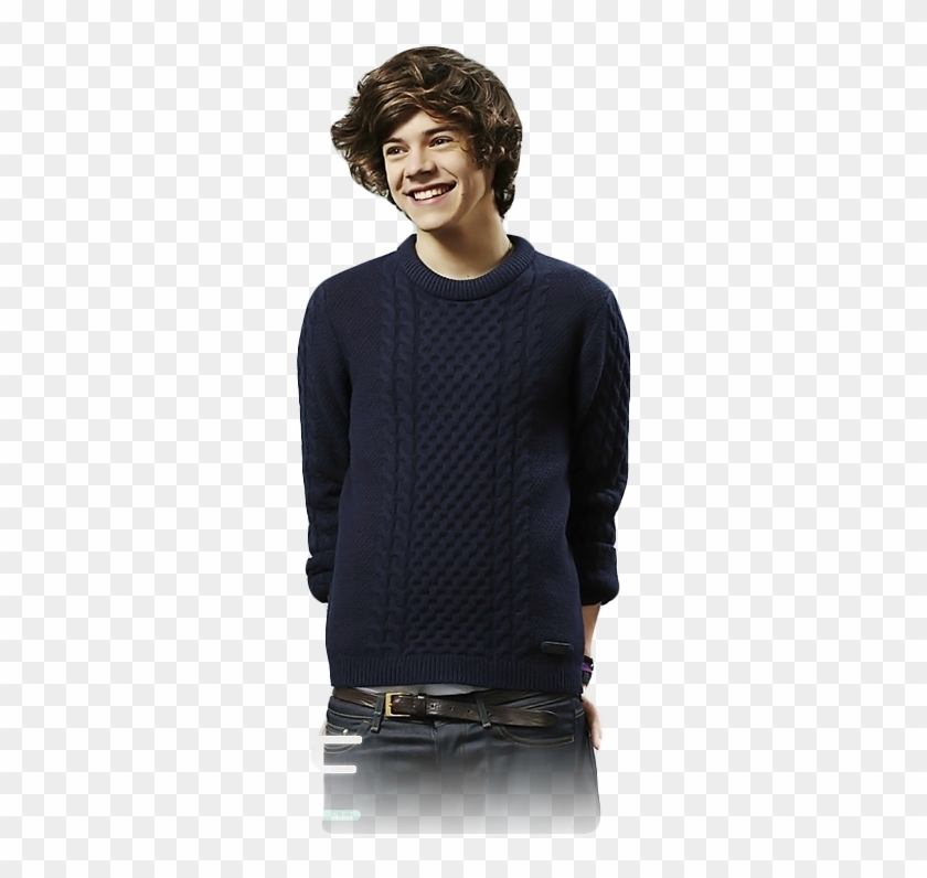 Harry Styles Cute Photo Harry Styles Con Sweater Hd Png Download 500x750 318 Pngfind