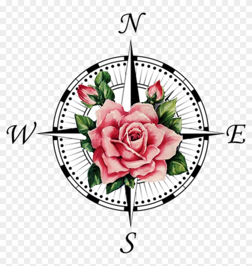 compass rose beautiful