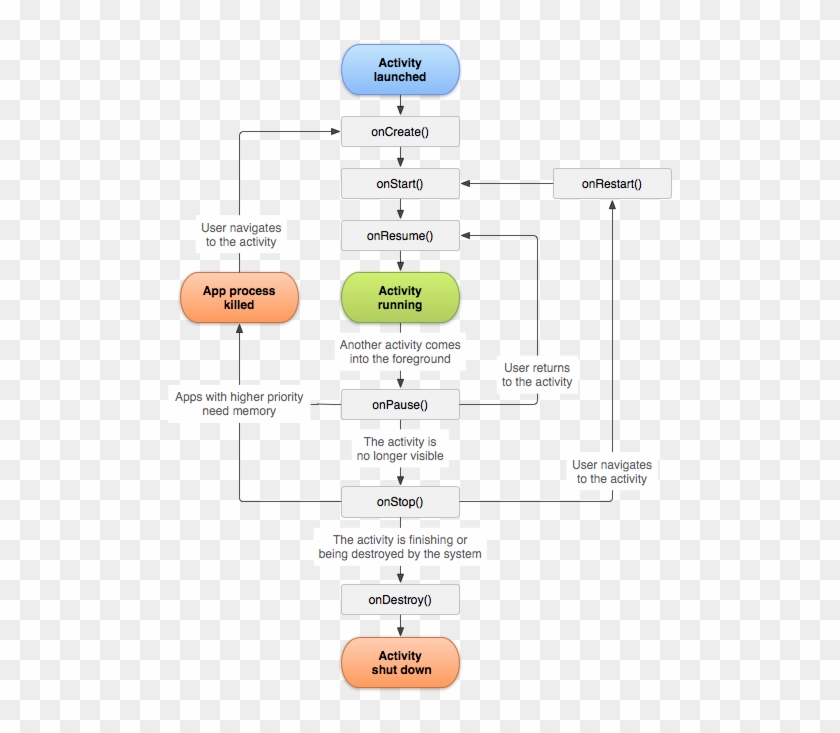 biological-life-cycle