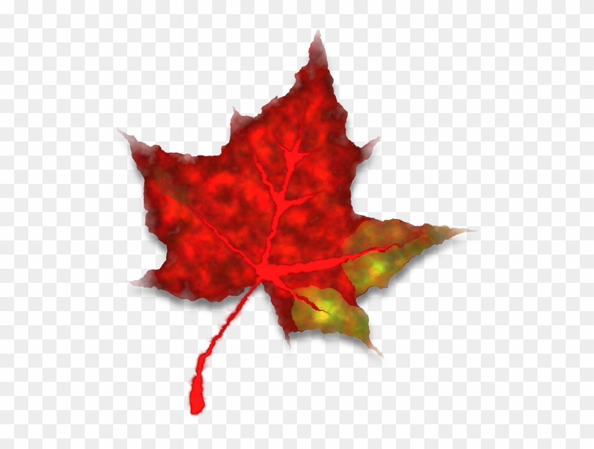Red Maple Leaf Tree Fall Leaves Png Image La đỏ Png Transparent Png 1280x1168 Pngfind