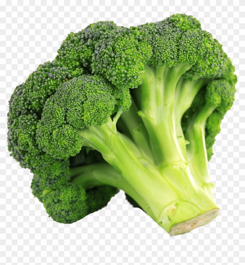 Broccoli, HD Png Download - 1200x1106(#2955900) - PngFind