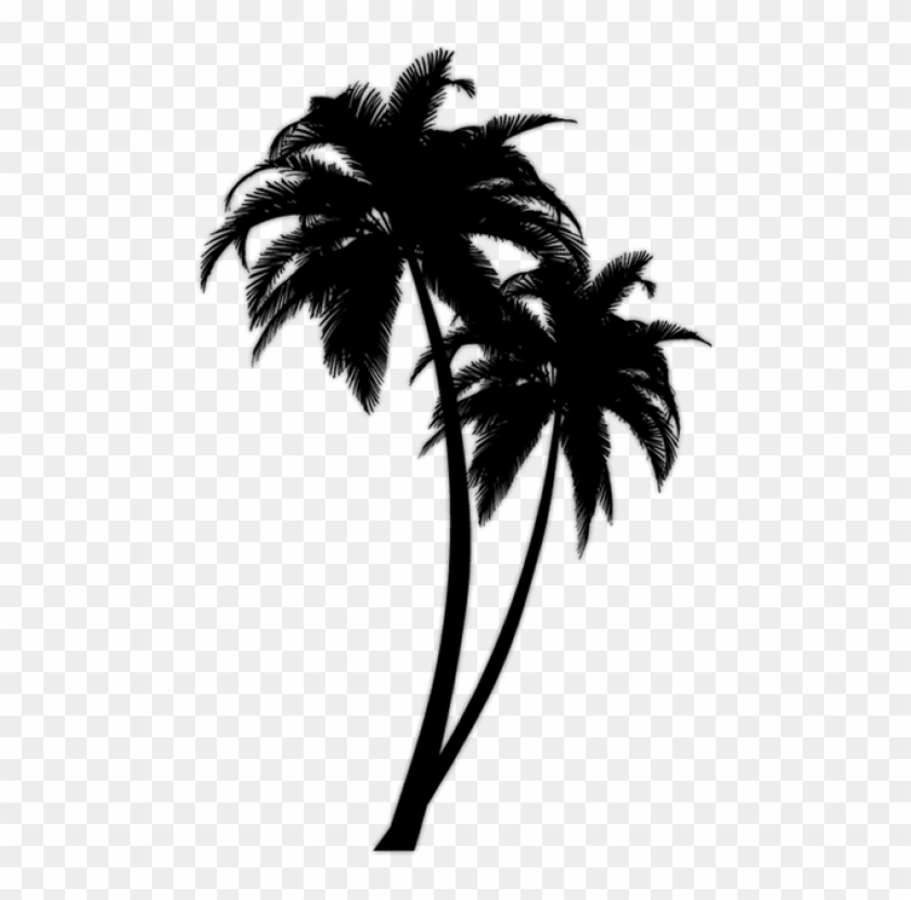 Free Png Download Black Palm Tree Png Images Background Black