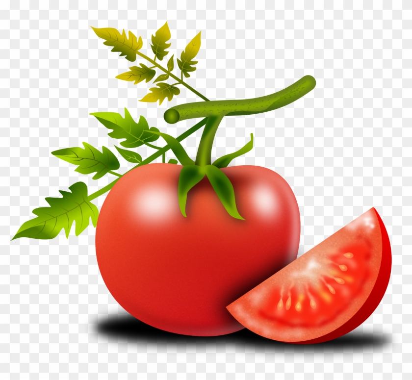 Tomato Png Shop Of Library Buy Clip Ⓒ - Beautiful Tomato And Tree Background  Images In Editing, Transparent Png - 817x720(#37081) - PngFind