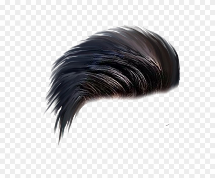 Men Hair PNG  Download Transparent Men Hair PNG Images for Free  NicePNG