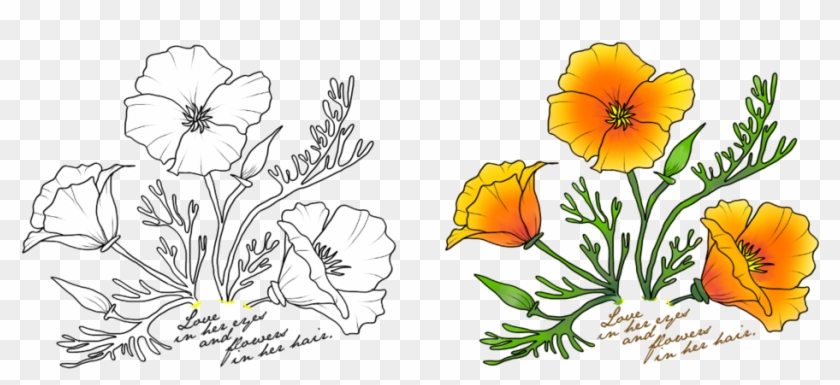 Download California Poppy Flower Outline Hd Png Download 1024x423 3024718 Pngfind
