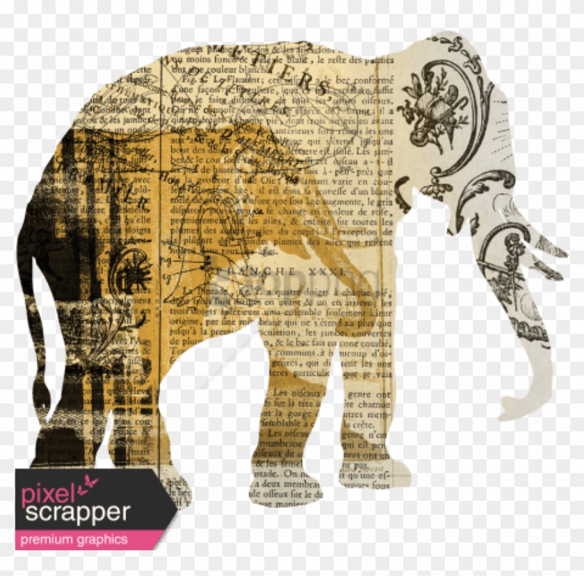 Free Png Animal Kingdom Png Image With Transparent Indian Elephant Png Download 850x798 Pngfind