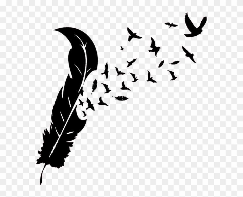 Download Feather With Birds Silhouette - Feather To Birds Png ...