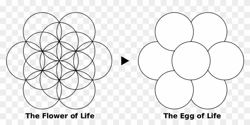 Egg Of Life Meaning Flower Of Life Symbol Hd Png Download 1280x591 3101 Pngfind